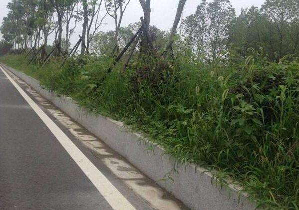 路边石